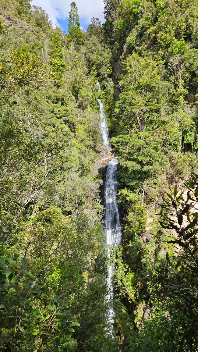 Whangamatā - Mount Paku - Hot Water Beach