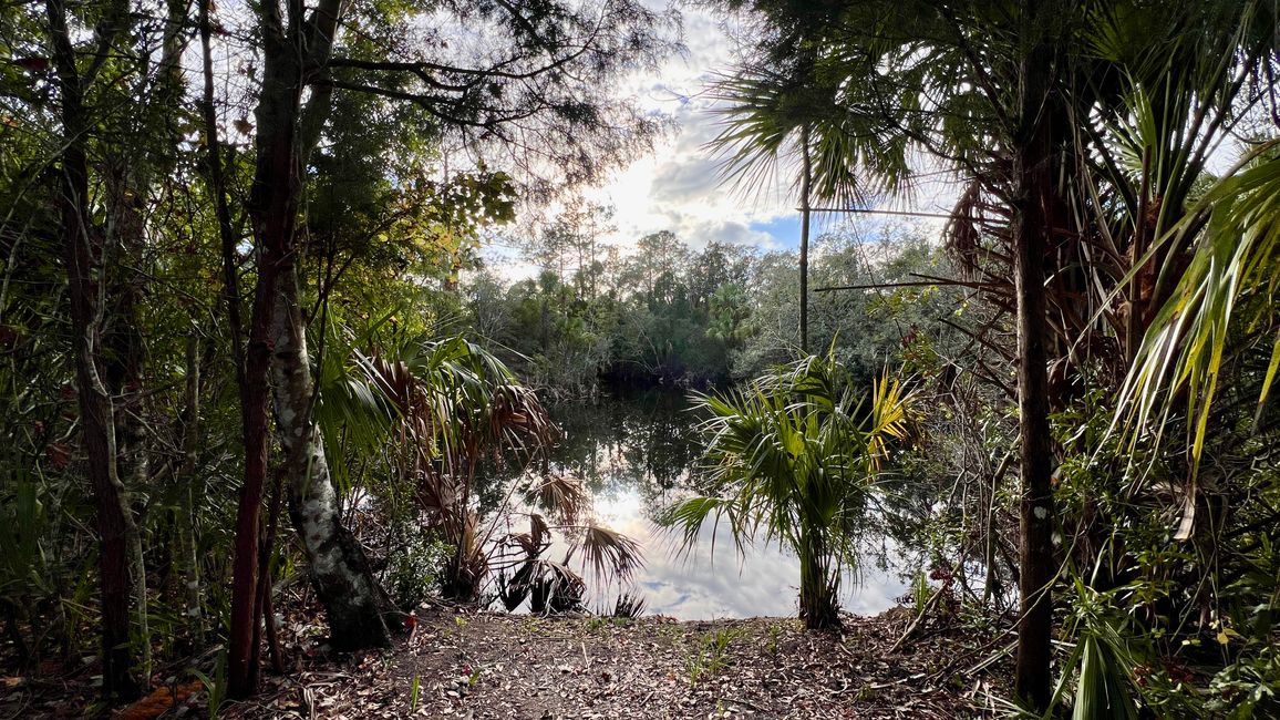 Tag 381 - Crystal River