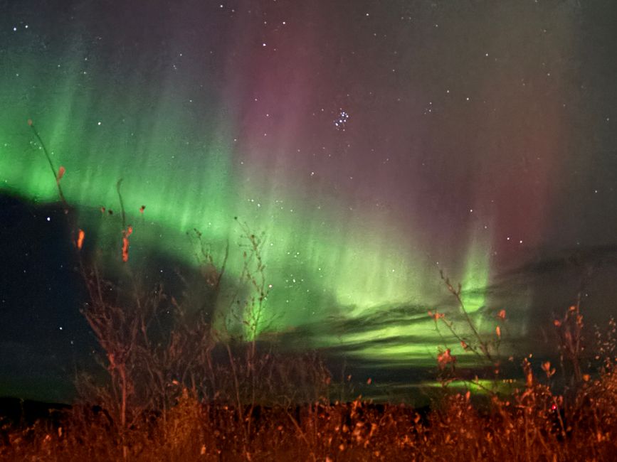标签 7 - 🌌 北极光、颤抖的早晨与野牛 – 一天充满了加拿大的神奇 🇨🇦