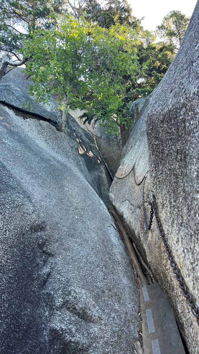 Path up Stawamus Chief