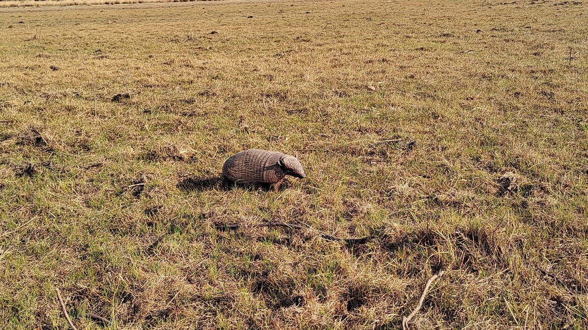 Brazil, Through the Pantanal