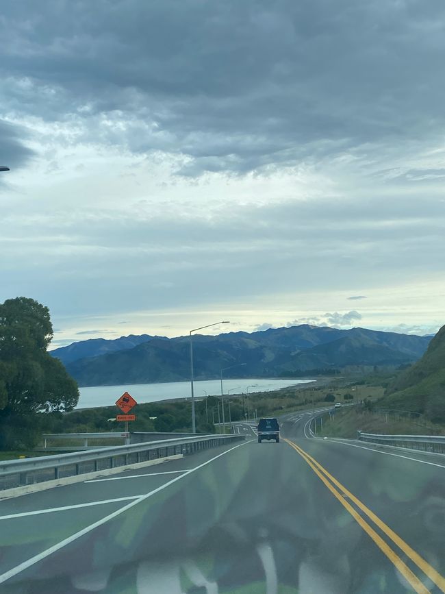 Nelson, Queen Charlotte drive, Picton, Kaikoura, Blenheim