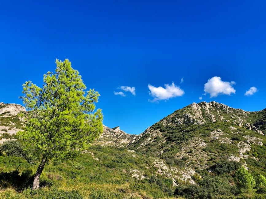 Les Alpilles