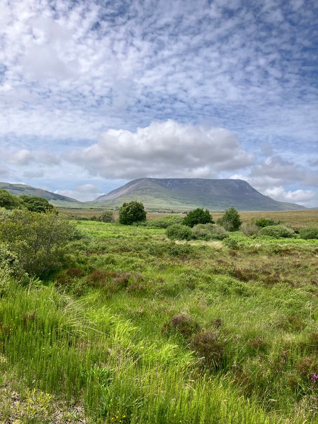 Mont Muckish
