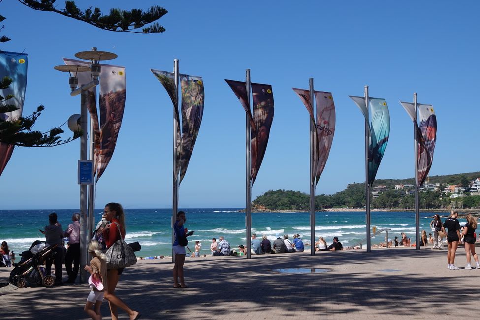 Sulle spiagge di Manly ....