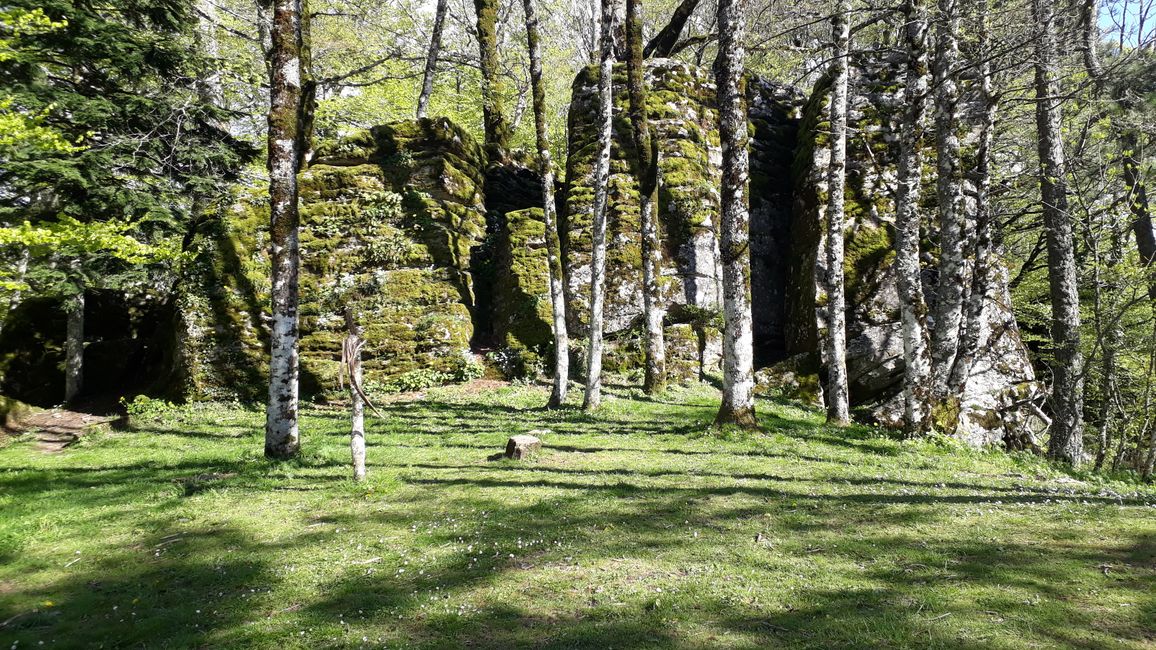 Green area in the monastery