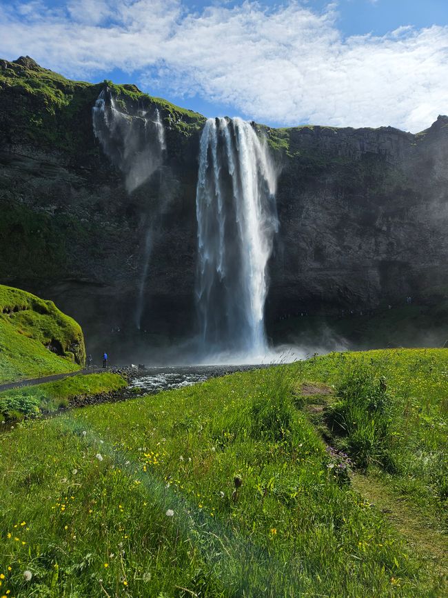 Seljalandsfoss 