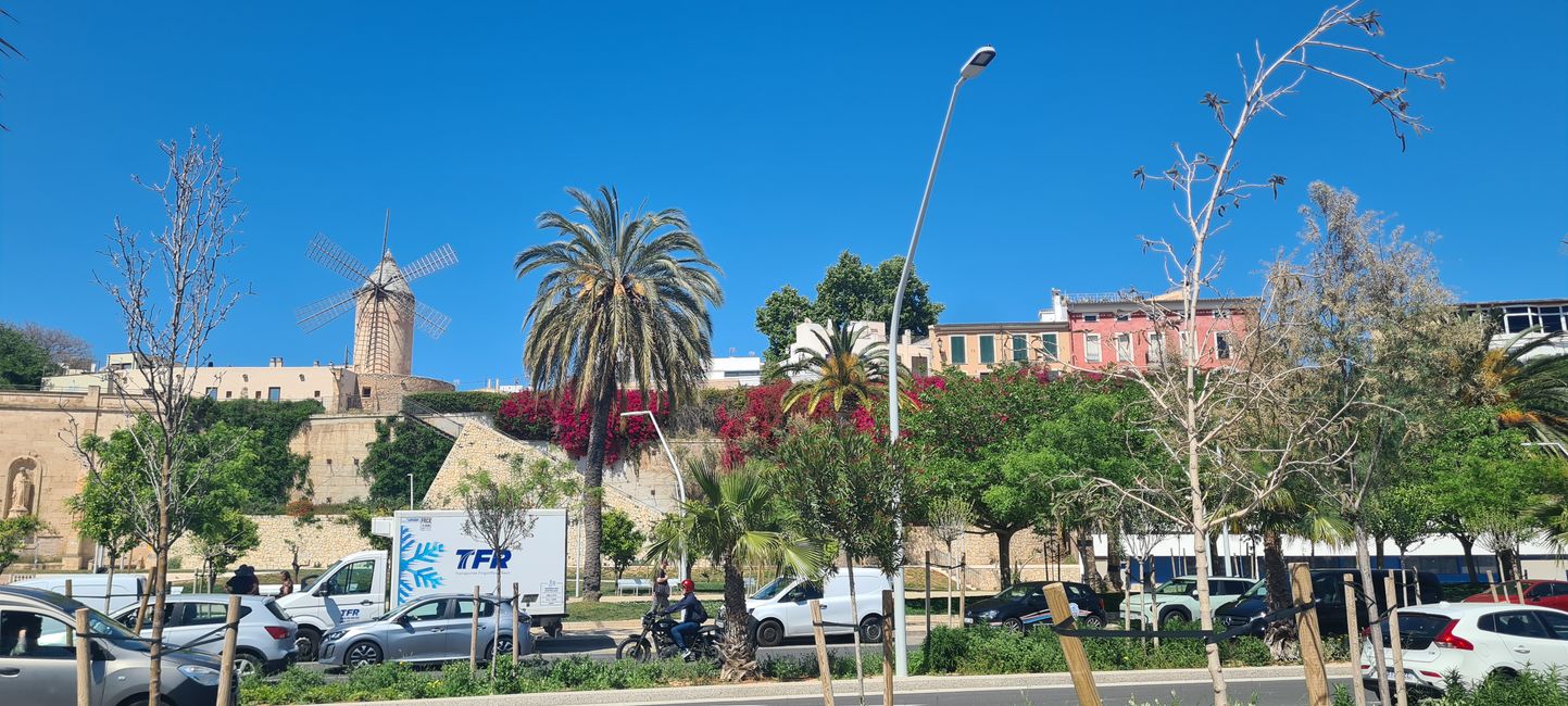 Das Finale von Pollenca nach Palma