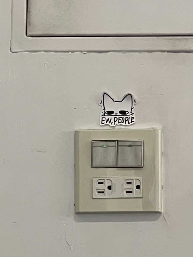 Cat sticker 