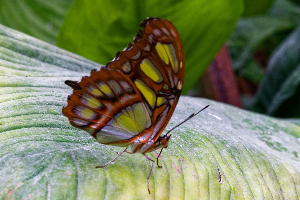Parc Floral de La Source