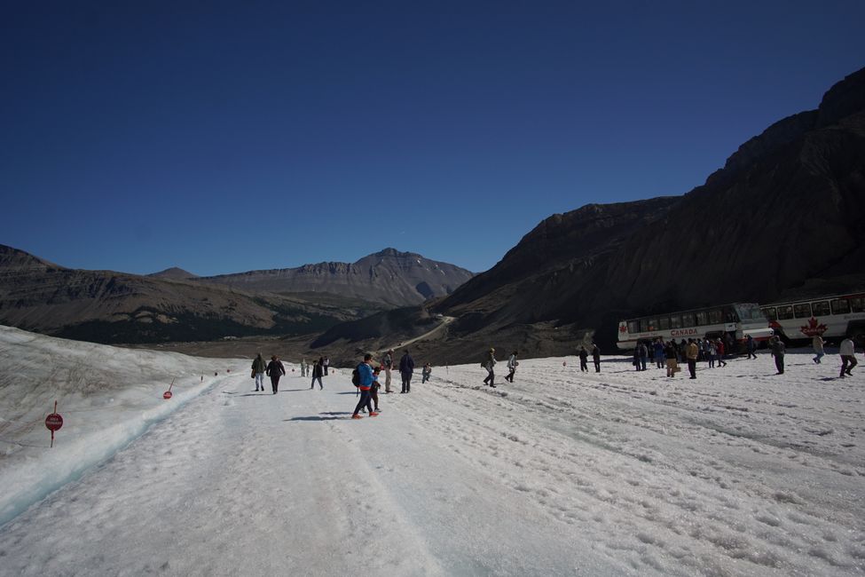 Tag 8 : Poursuite du voyage vers Jasper
