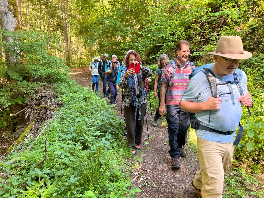 28 Wutachschlucht Pro Wolermoos