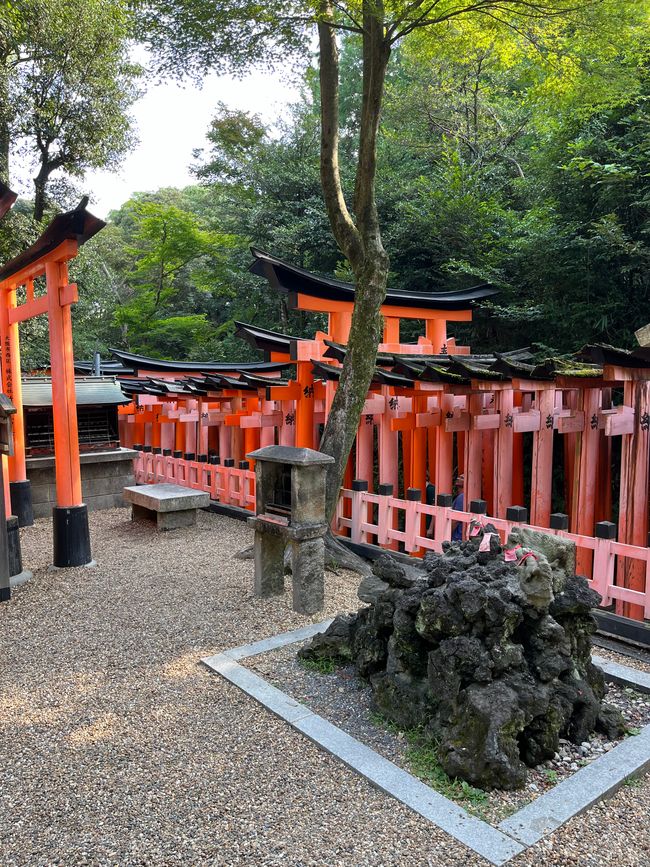 Kyoto