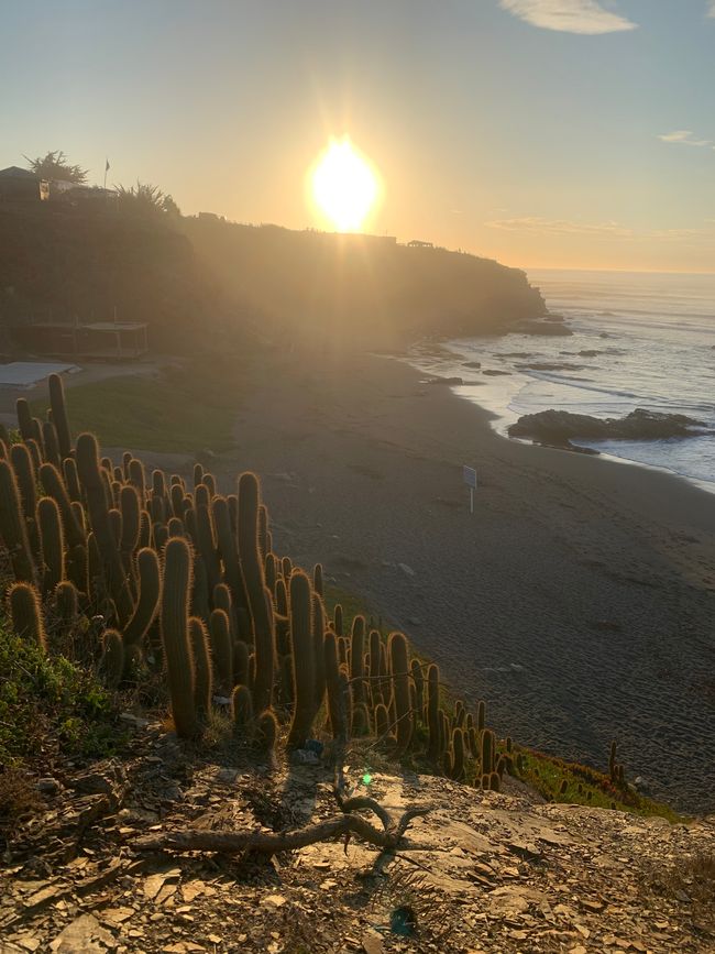 Punta de Lobos