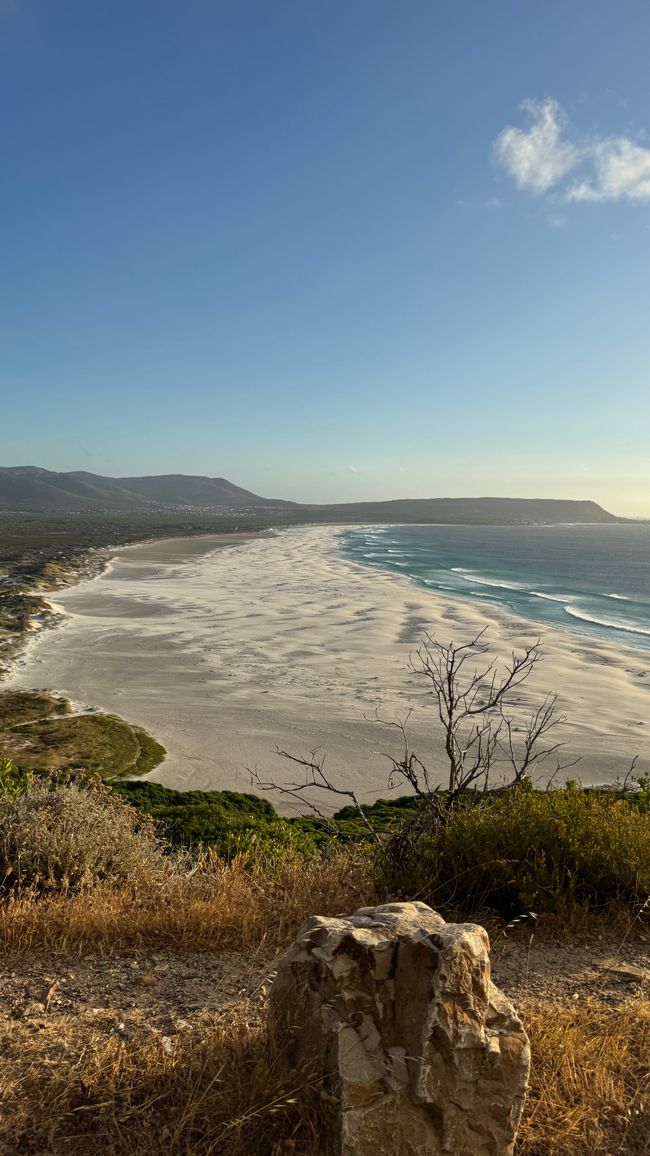Tour del porto a Città del Capo, Spiaggia di Muizenberg, Spiaggia di Boulders, Capo di Buona Speranza