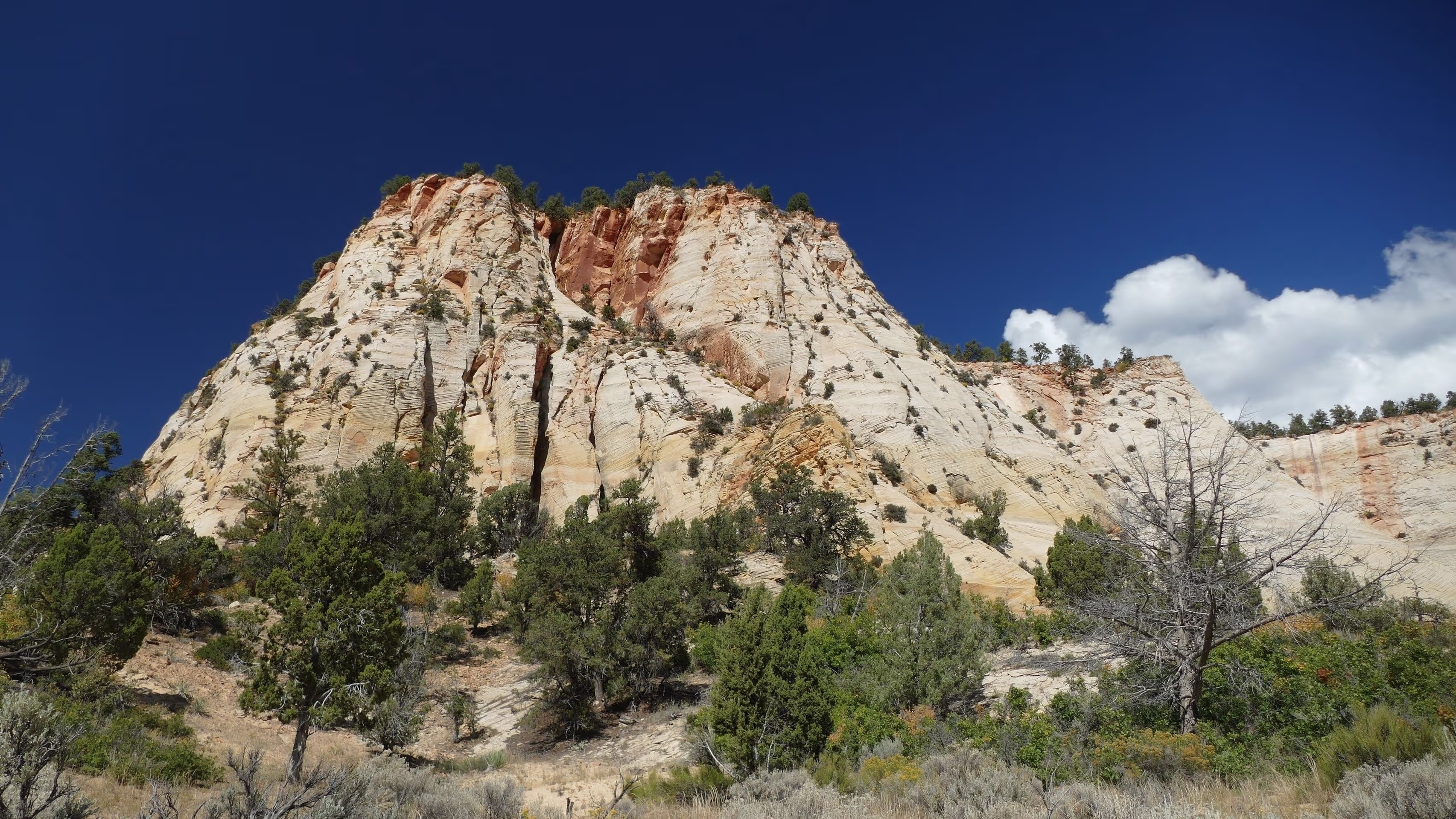 zion 2