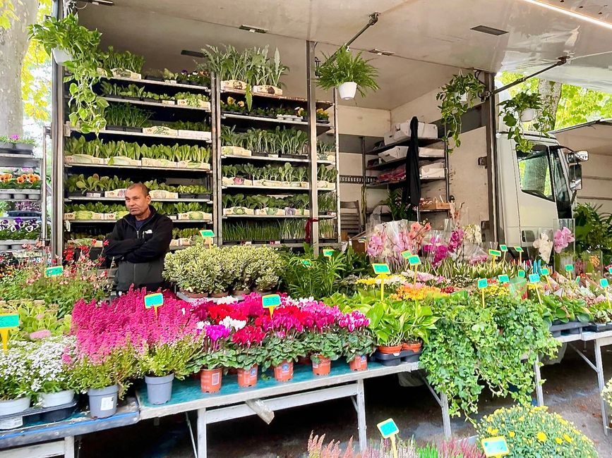 Ein Stand mit Blumen und Pflanzen.