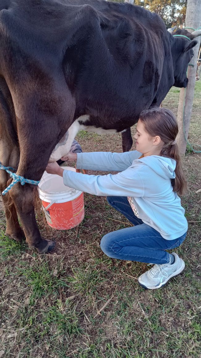 Paraguay_Caacupe_Aventura_Ranch (Juli 2025)