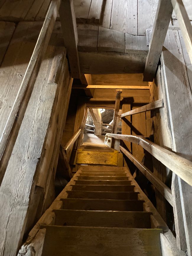 Dom St. Nicolai - 3 Meter fehlen bis 100 Meter