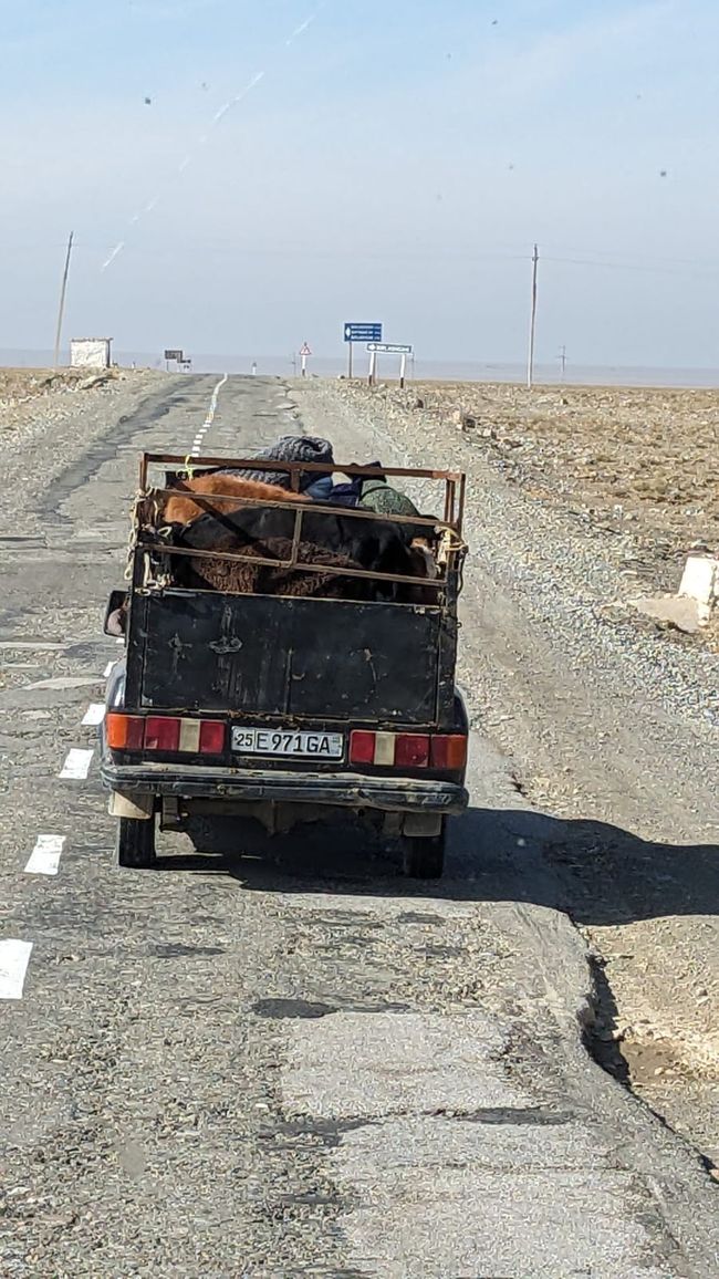 Uzbekistan 2, to Bukhara and the West 
10/20/2024