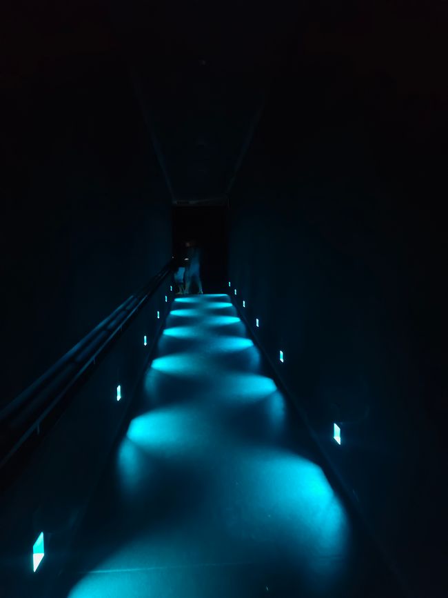 Damit begann unser Abenteuer in teamLab