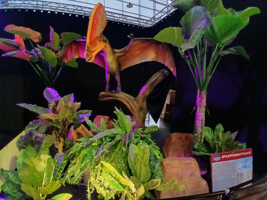 Dino Fever in Friedrichshafen: An Honest Look into the "Kingdom of Dinosaurs"