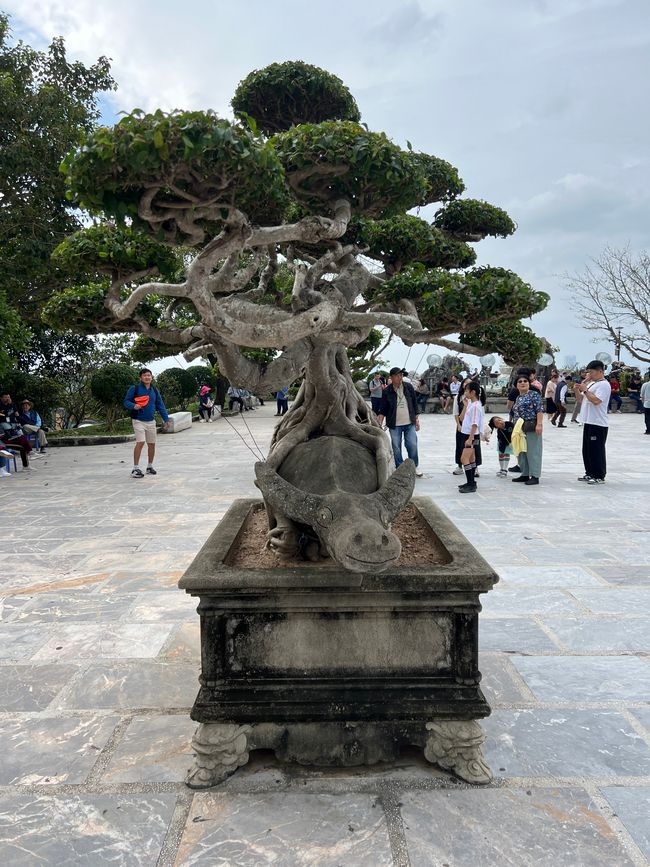 Tag 5 - Hoi An: Ein Tag mit Affen, Einhörnern und vielen Überraschungen