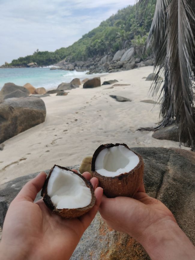 Seychellen - Tag 3: Insel Mahe Süden