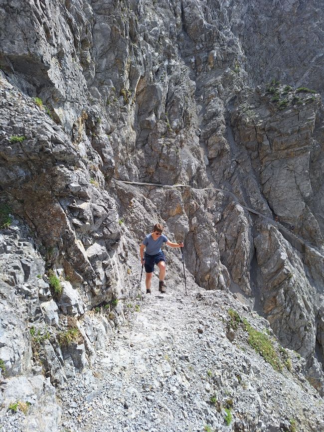  Bergziege