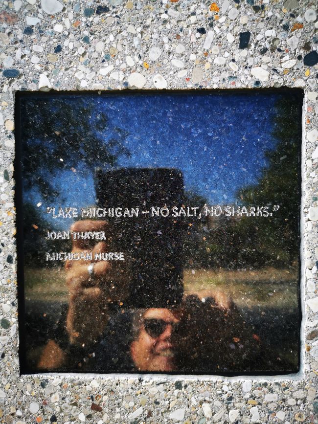 Lake Michigan, no salt - no shark