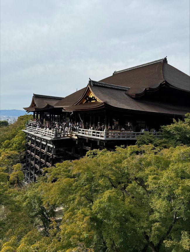 <kiyomizu-dera