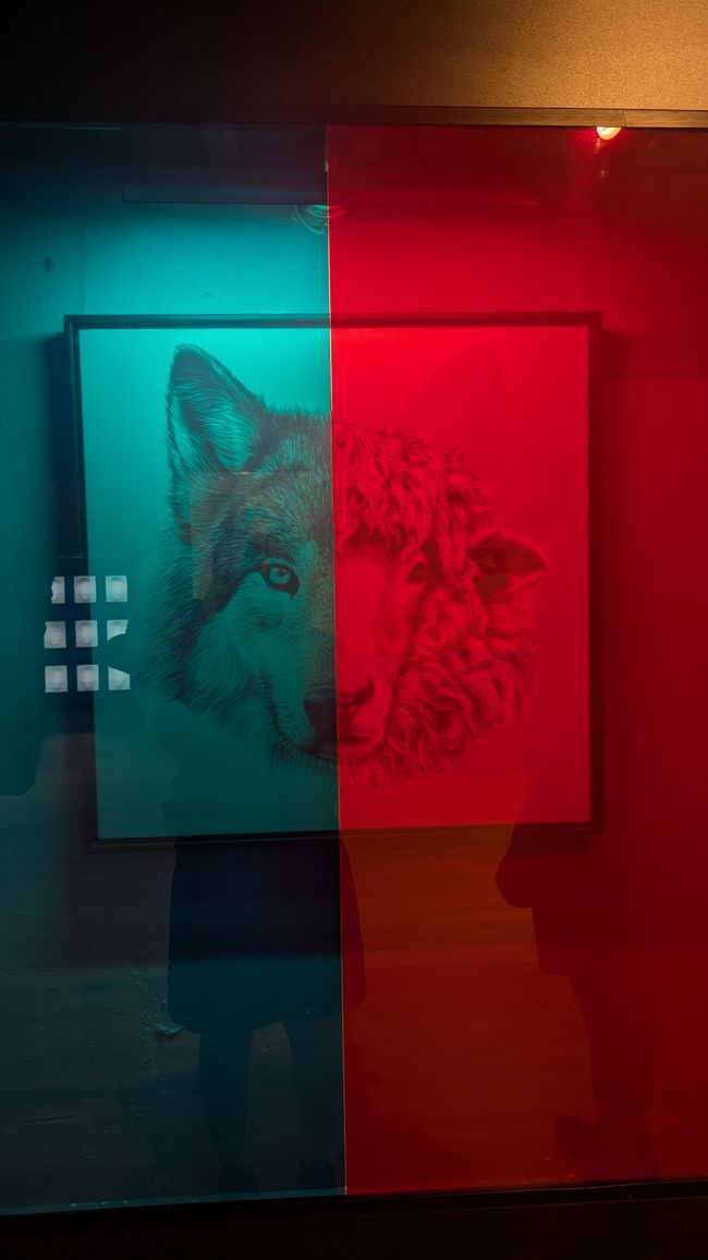Museum der Illusionen - Museum of Illusions
