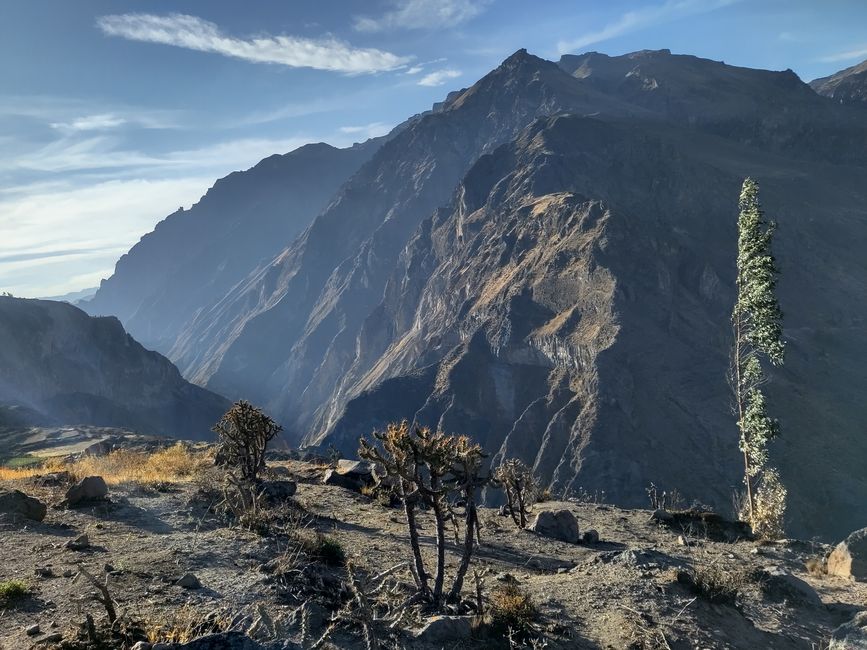 Arequipa: Beautiful Colca Canyon and the best almond peak in the world