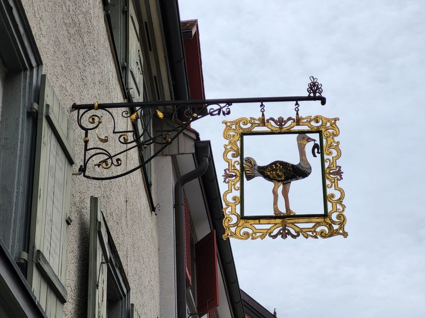 Enseigne de nez avec autruche
