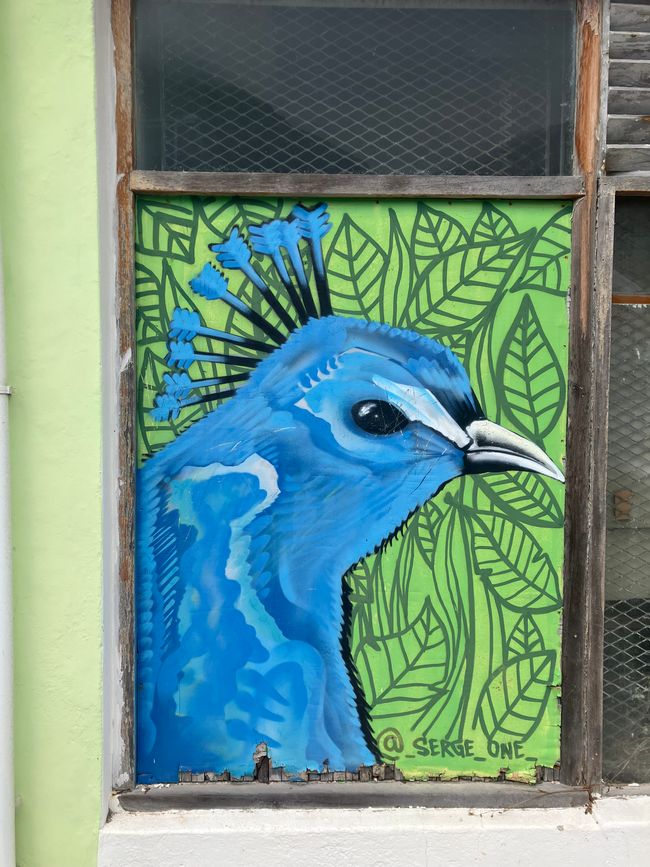 Kap-Halbinsel und Stellenbosch