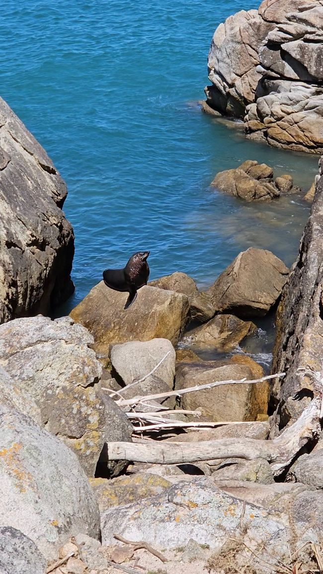 Abel Tasman Coastal Track