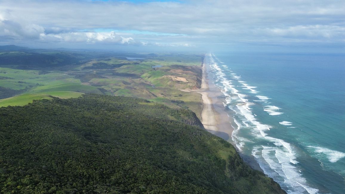 Blick über die Westküste vom Maunganui Bluff Summit