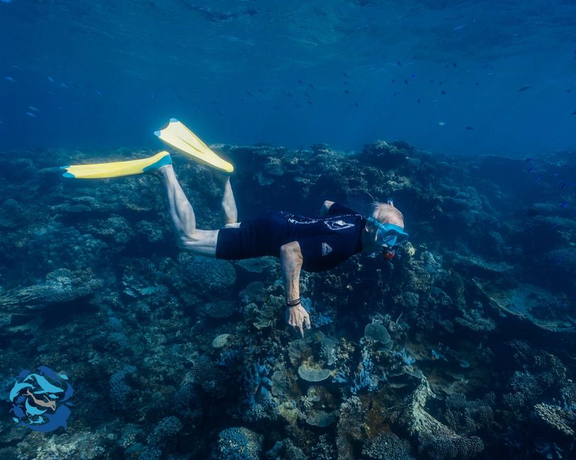 Snorkeling