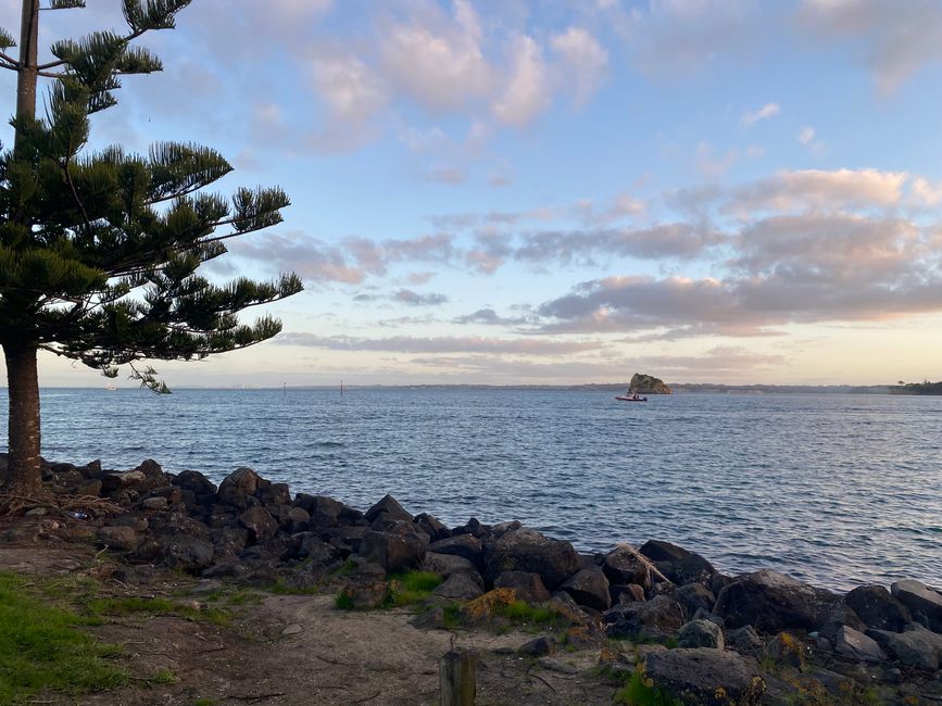 De whangarei à auckland