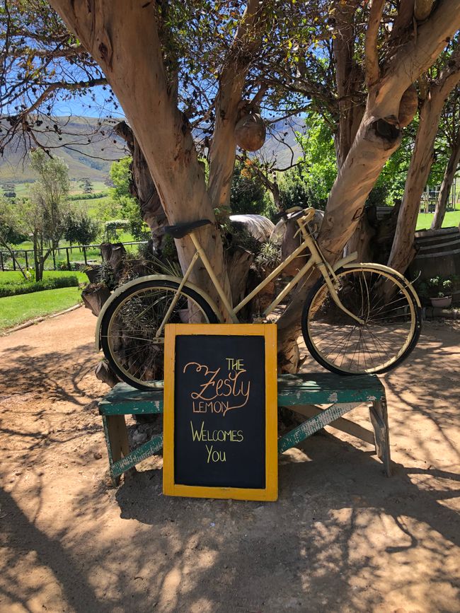 Ausflug nach Stanford ...