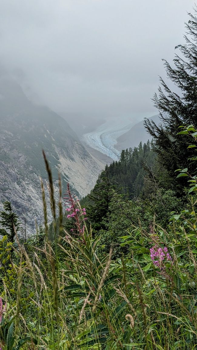 Nochmal der Blick auf die Gletscherzunge - unterhalb der Wolkendecke