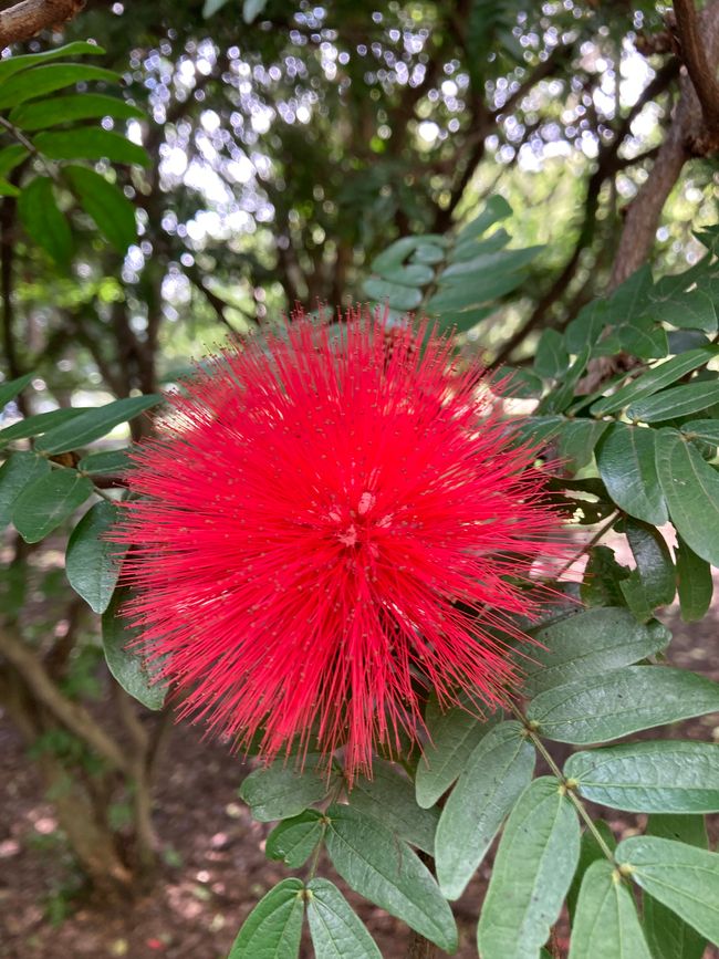 Nach einem Durchhänger geht es wieder aufwärts