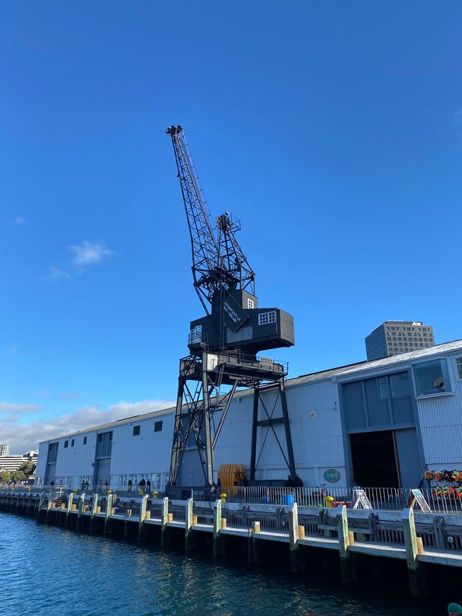 Harbor in Wellington 