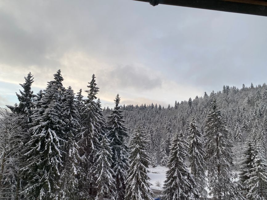 Die Bäume sind noch voller Schnee