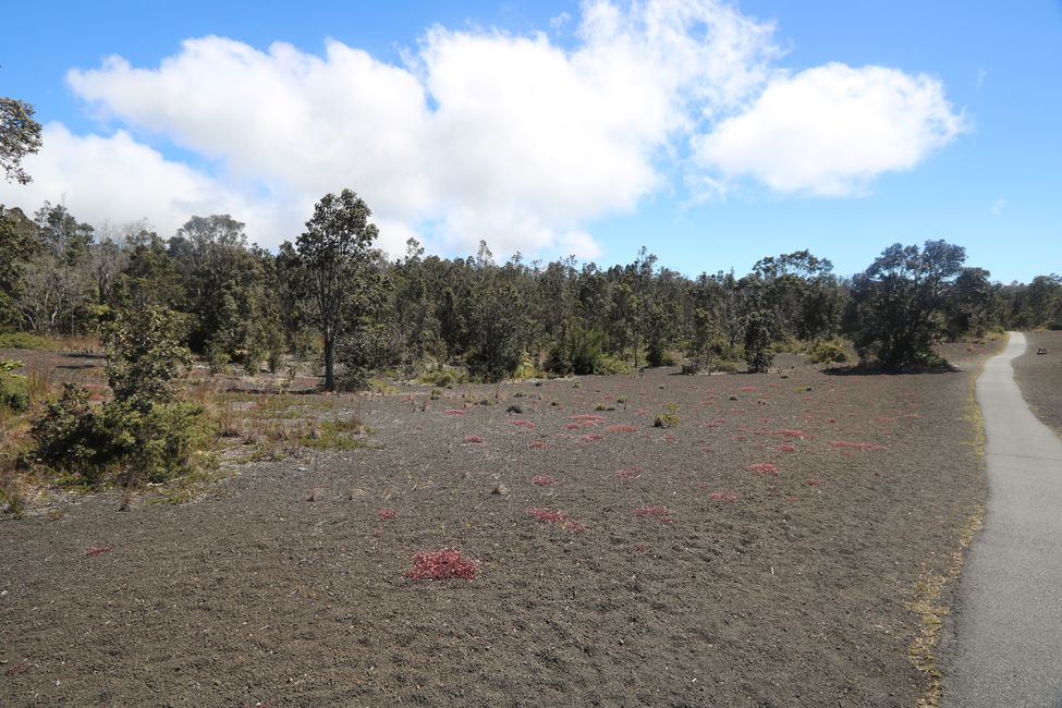 Visitamos el volcán Kilauea