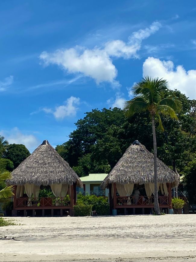 Panama 🇵🇦 🌴