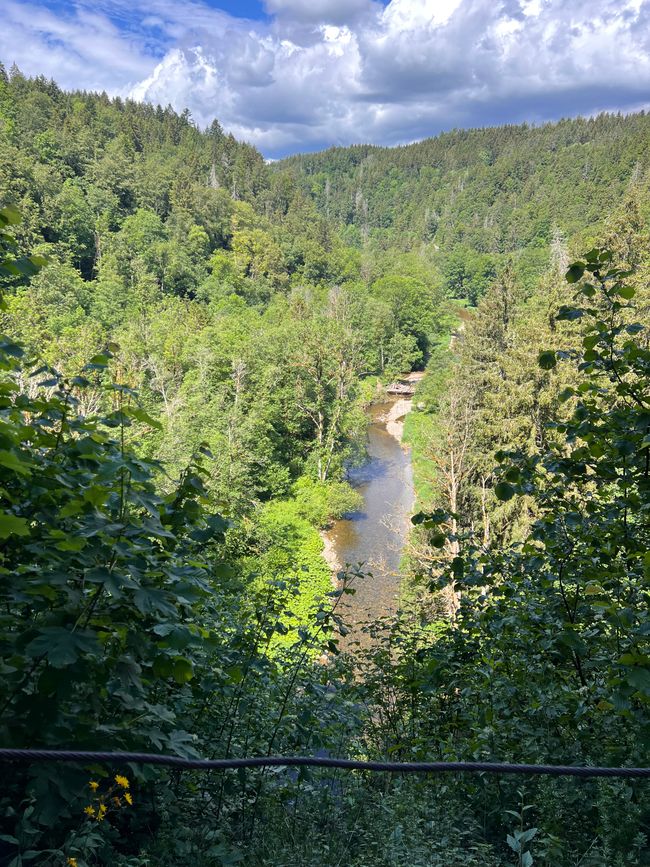 28 Wutachschlucht Pro Wolermoos