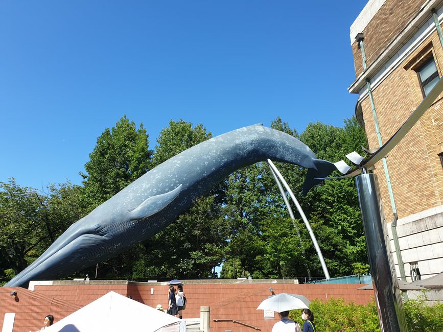 Museo de Naturaleza y Tecnología en el Parque Ueno