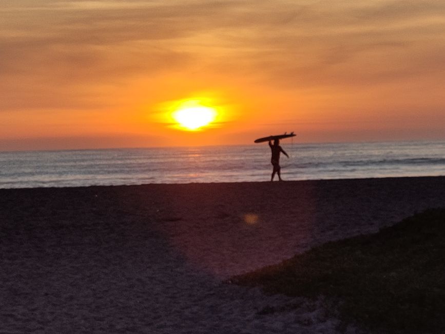 Arica (Chile): Surfen in der Wüste, liebevolle Haustiere und eindrücklicher Chungará-See 