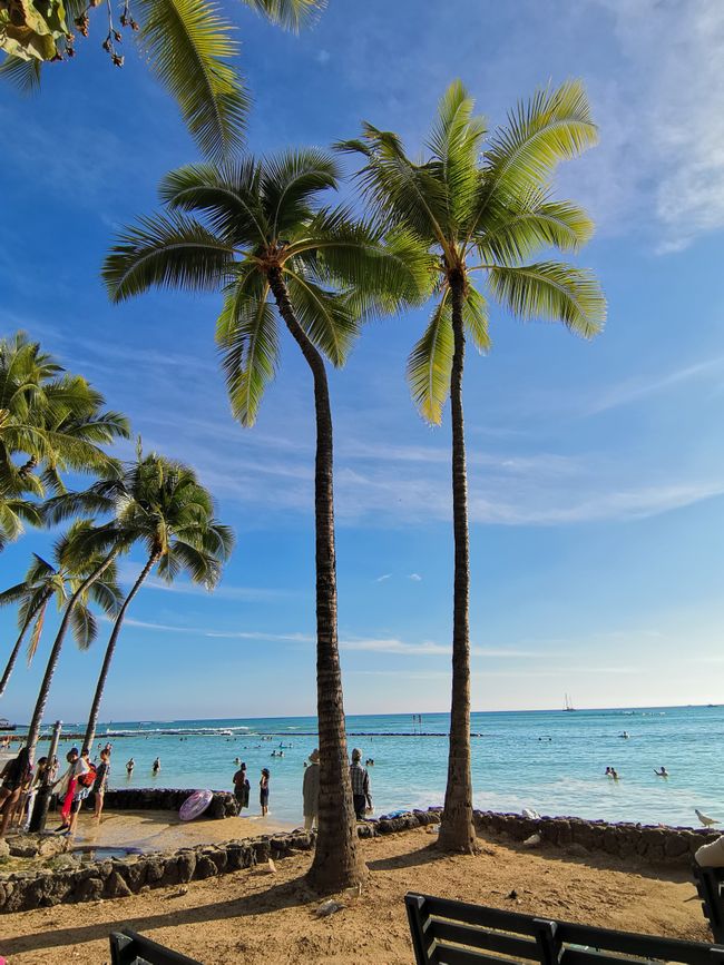 Hawaii - Waikiki Beach